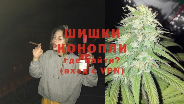 дмт Осинники